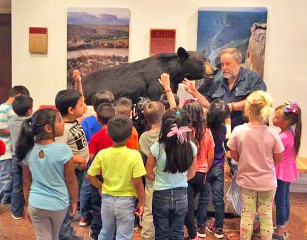 Museum of the Big Bend